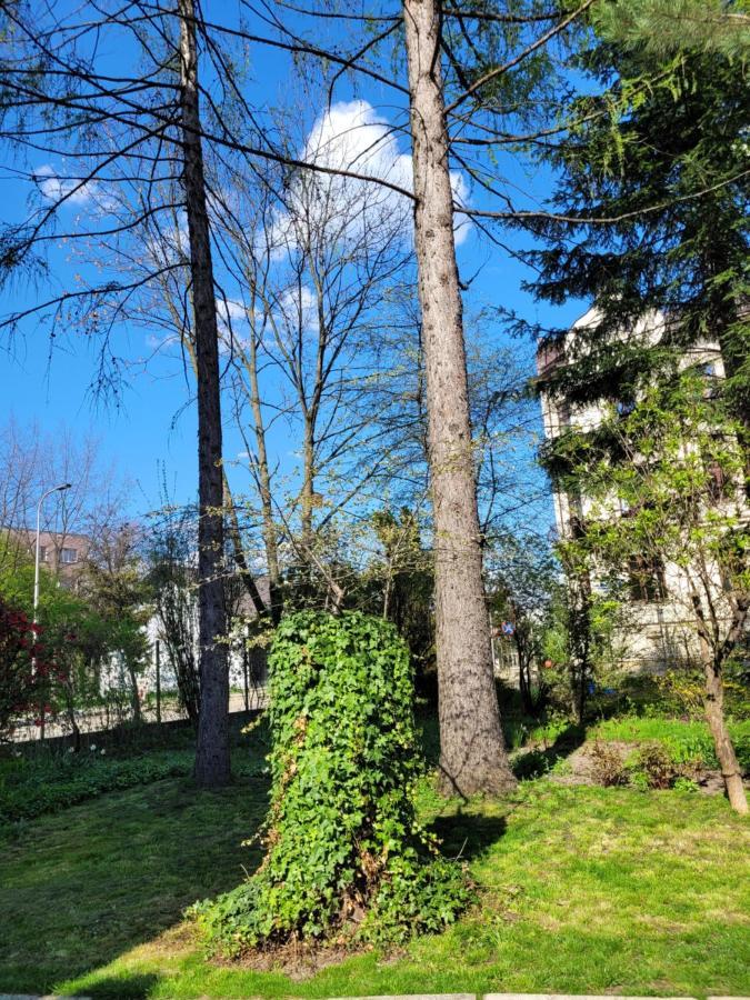 Cichy Apartament W Centrum 노비 삭츠 외부 사진